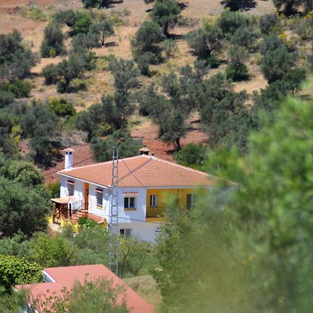 B&B Casa El Corasueno Almogía エクステリア 写真